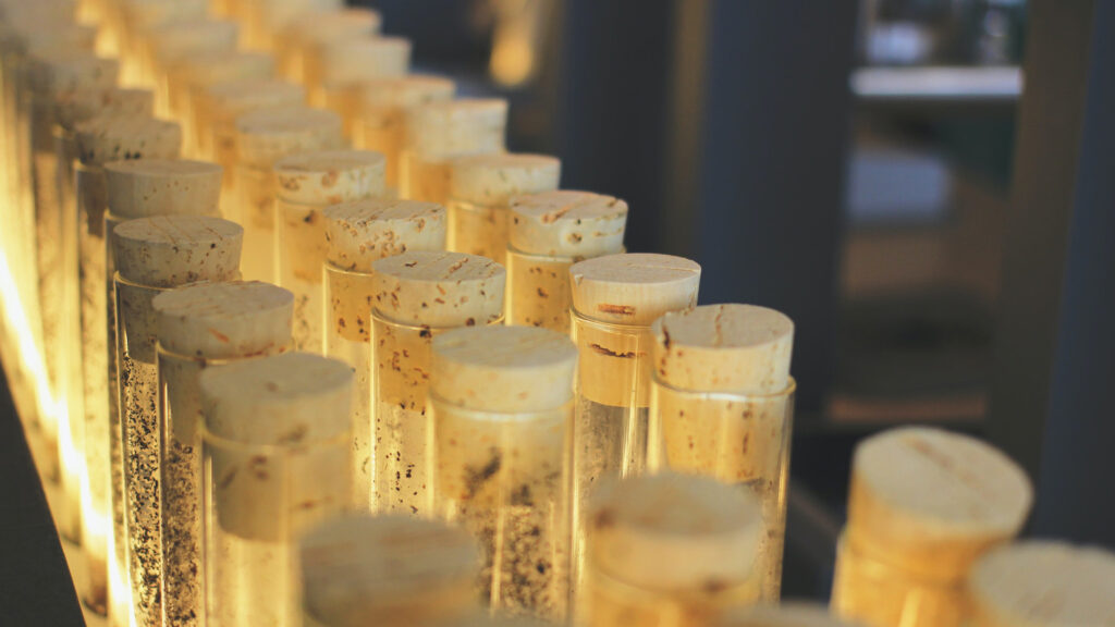 Cell Ag and Fermentation