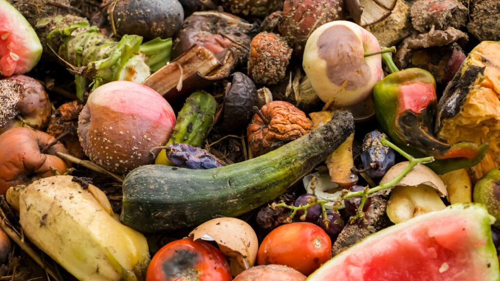Food Loss & Waste Reduction